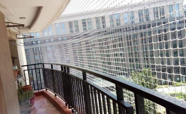 Pigeon Protection Nets