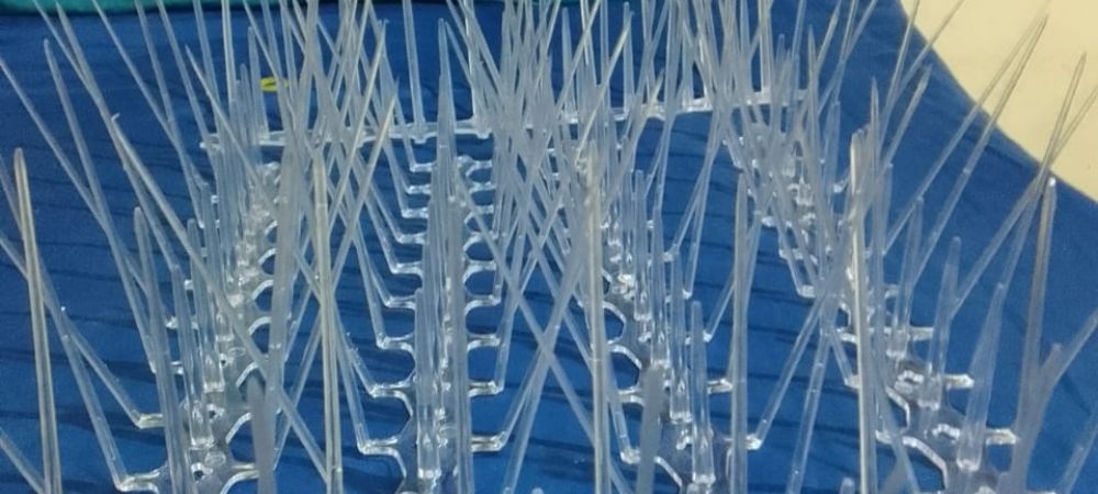 Bird and Pigeon Control Spikes