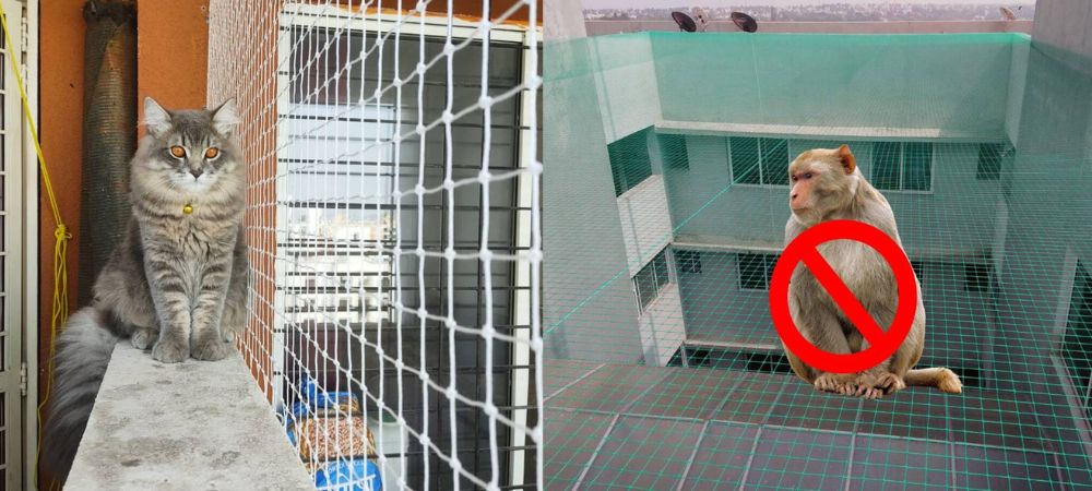Monkey Safety Nets