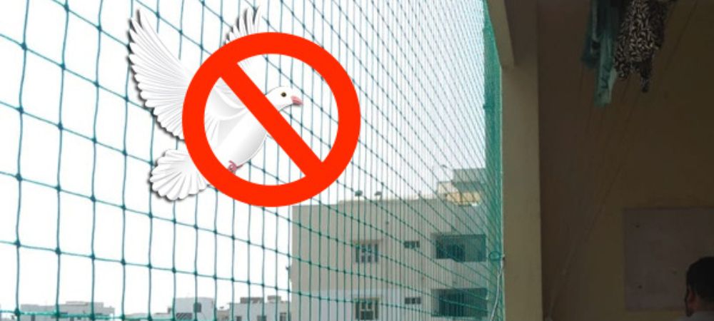 Bird Protection Nets